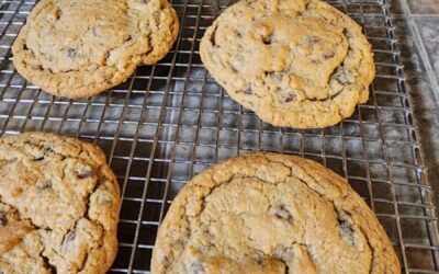 Chocolate Pecan Cookies with Rustlin’ Rob’s Mexican Vanilla